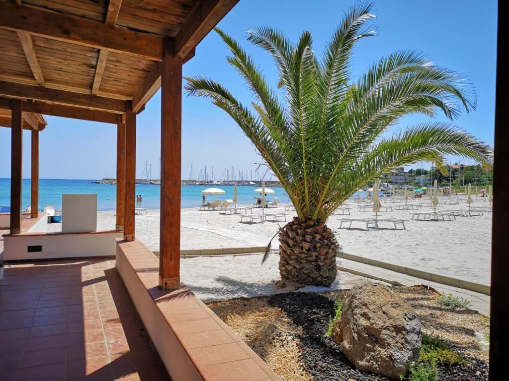 een palmboom op het strand bij de oceaan bij Vel Marì - Rooms on the Beach in Alghero