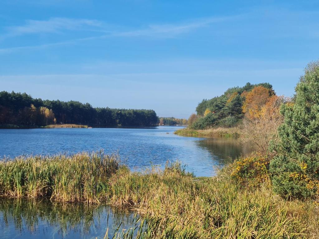Príroda v okolí dovolenkového domu