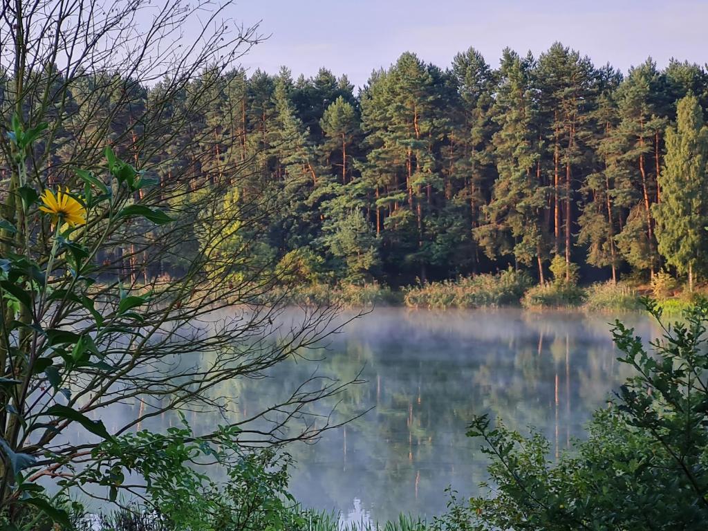 Príroda v okolí dovolenkového domu