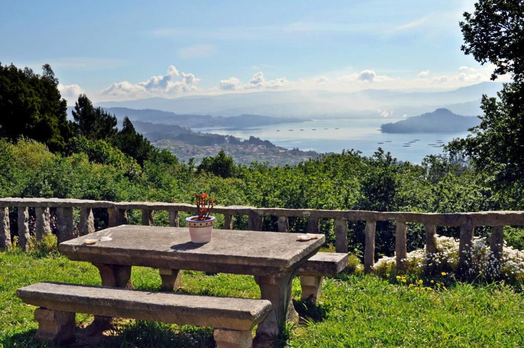 una mesa de piedra con una maceta sentada en ella en A Bouza, en Samieira