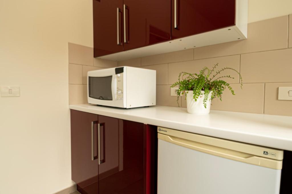 a kitchen with a microwave and a potted plant on a counter at Huize Porteman in Staden