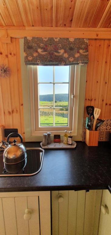 a kitchen counter with a sink and a window at Fauld O Wheat Shepherds Hut , Loch Ken ,Off Grid in Castle Douglas