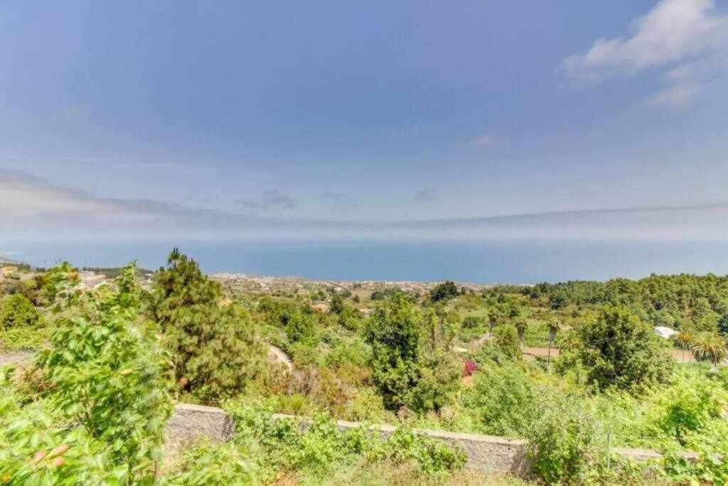 vistas a un campo con árboles y al océano en Finca Chona y Francisco, en Santa Cruz de Tenerife