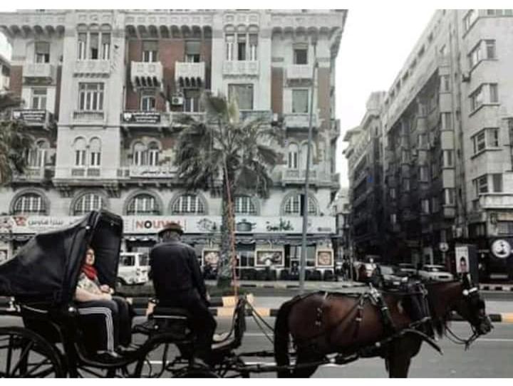 un homme et une femme voyageant en calèche tirée par un cheval dans l'établissement Smoha Zahran Haus (Private rooms or Private Apartment), à Alexandrie