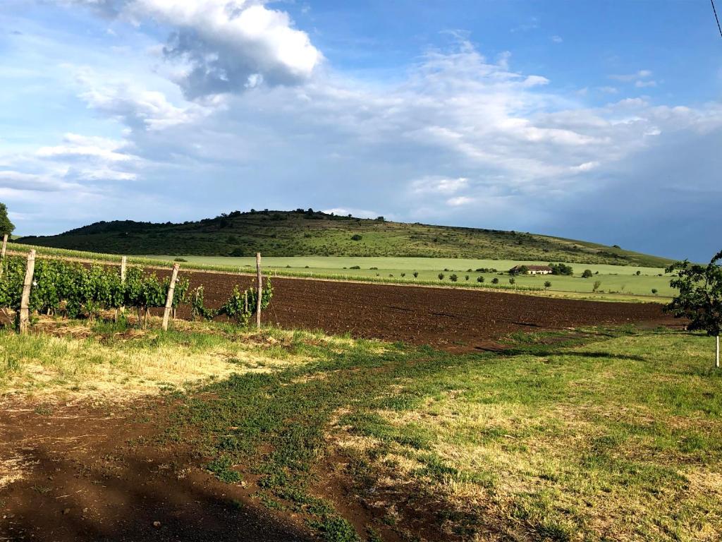 Príroda v okolí apartmánu