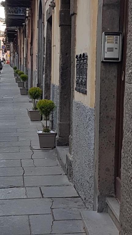 Okolí apartmánu