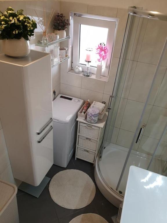 Kúpeľňa v ubytovaní Apartment in Duce with sea view, terrace, air conditioning, WiFi 5063-1
