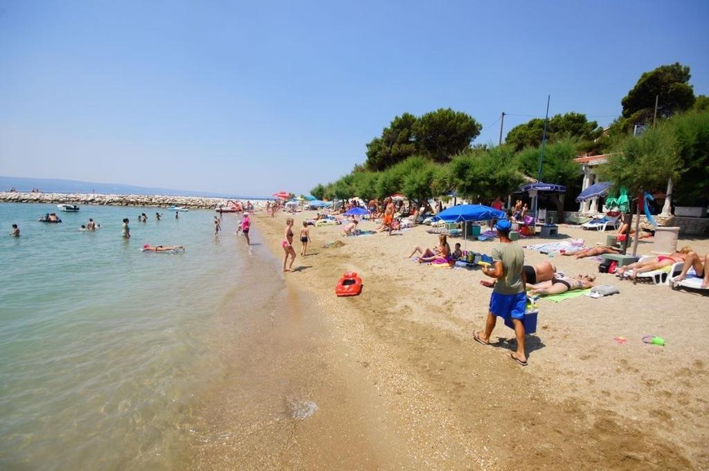 Príroda v okolí apartmánu