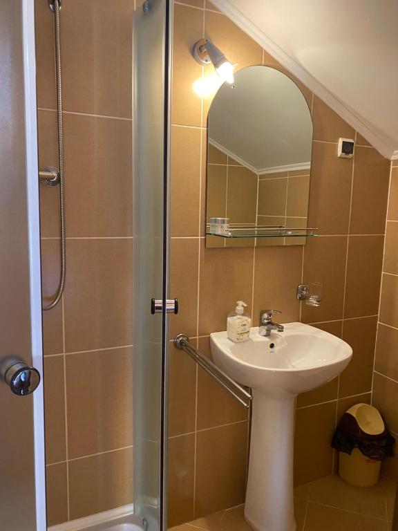 Koupelna v ubytování Pensiunea DARMA