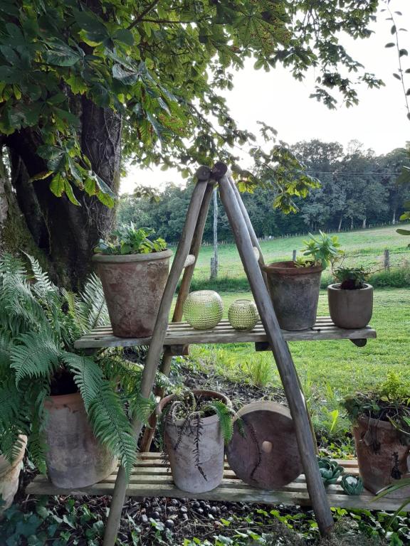 Zahrada ubytování Domaine du Vidal