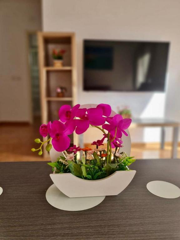 Franmay Apartments - 7 modern apartments near the beach & city, perfect for nomads, travellers, families, watersports! - Apartamento De Dos Dormitorios