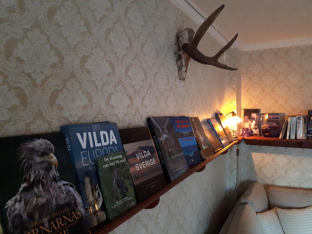Fotografie z fotogalerie ubytování Eden's Garden Cottages v destinaci Svanå