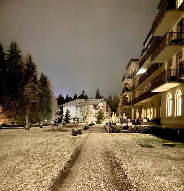 Chalet Belmont v zimě