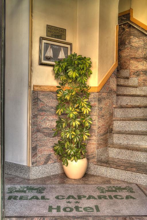 a plant in a pot next to a staircase at Real Caparica Hotel in Costa da Caparica