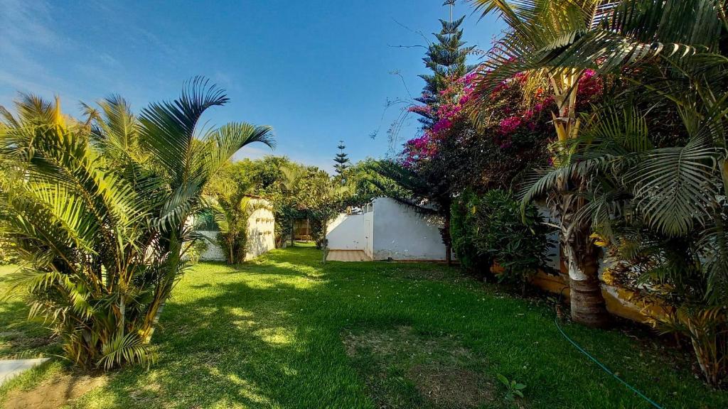 un patio con palmeras y un edificio blanco en Hermosa Villa Hospedaje, en Trujillo