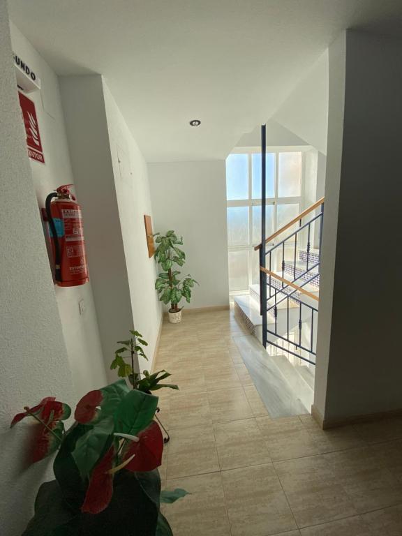 Fotografie z fotogalerie ubytování Pino Parquemar v destinaci La Mata