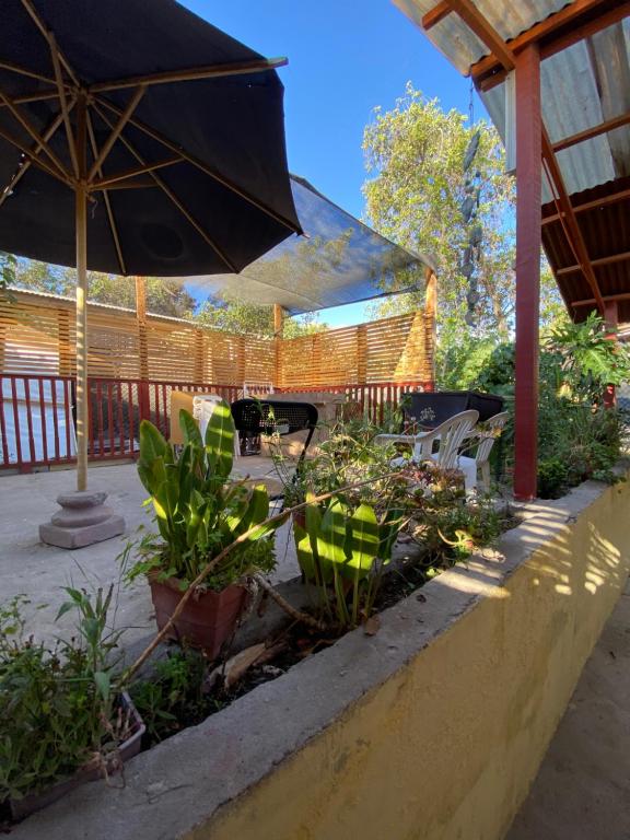a patio with an umbrella and chairs and plants at Casa grande Campestre, Vicuña, Valle del Elqui in Vicuña