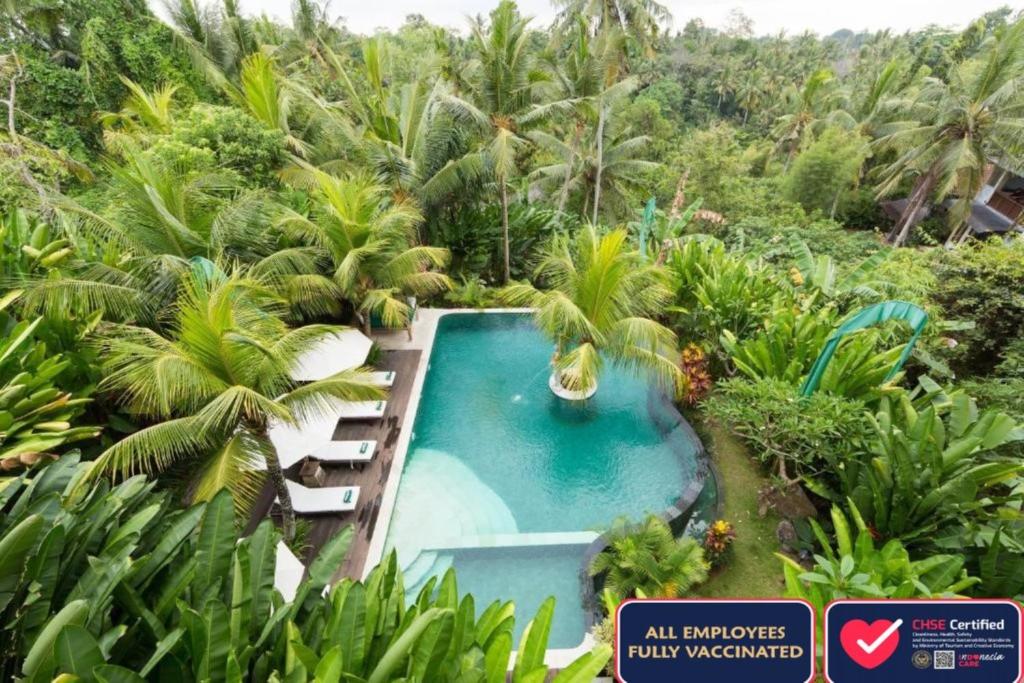 een uitzicht over een zwembad in een tropisch bos bij Alamdini Resort Ubud in Ubud