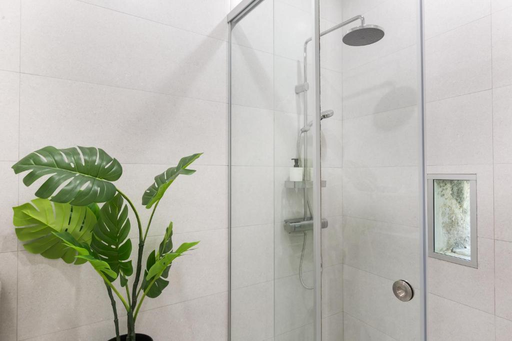 Effie's cozy old town studios - 11