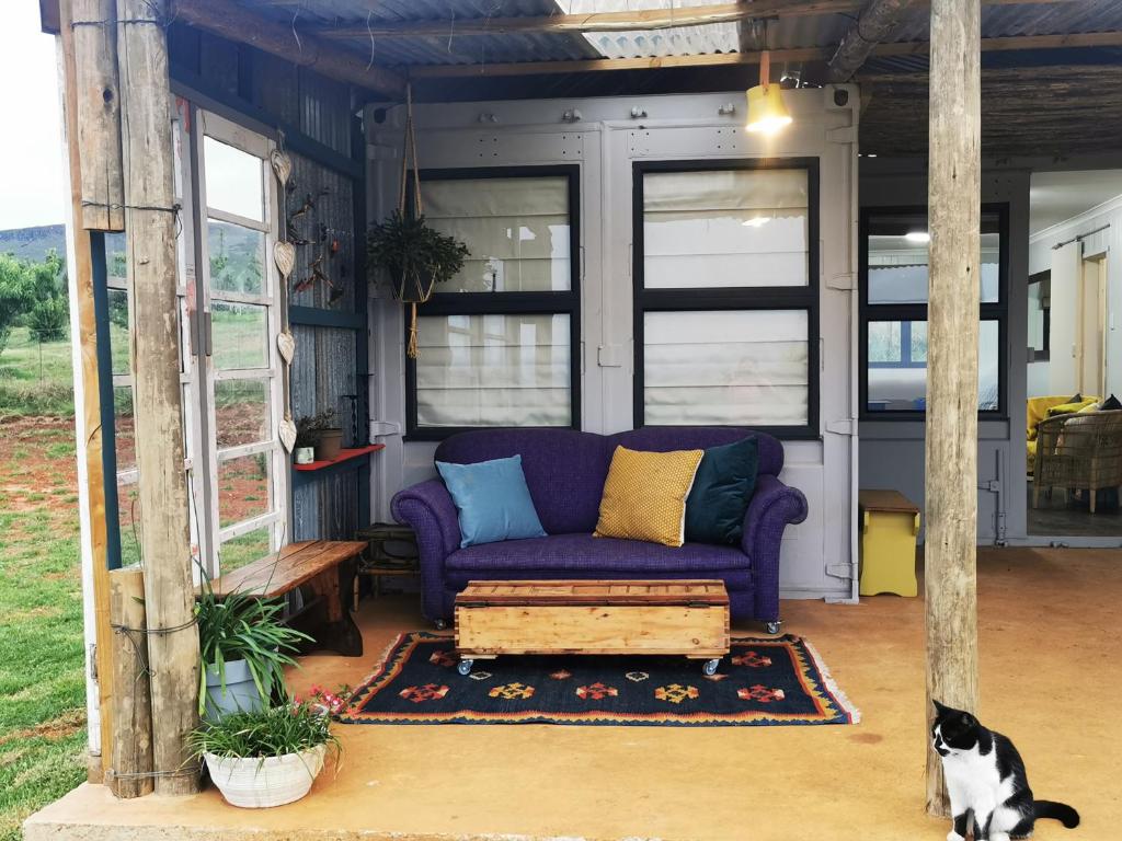 a purple couch in a living room with a cat at @Baramee in Underberg