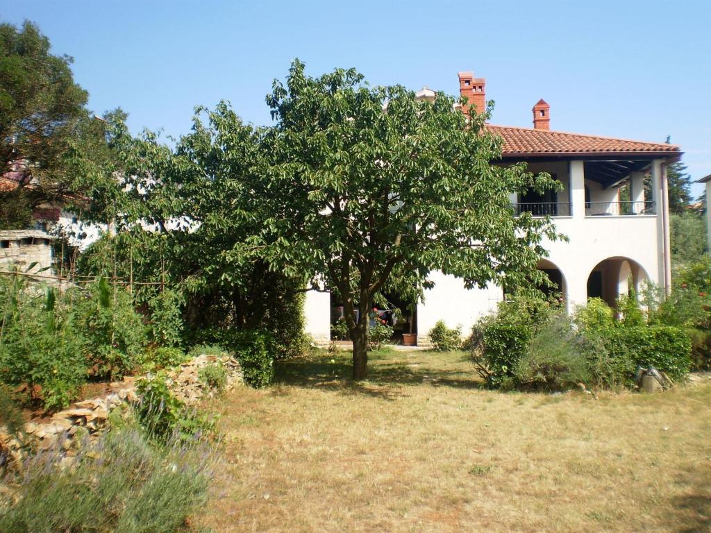 un manzano frente a una casa en Apartment Villa Gasparini, en Pula