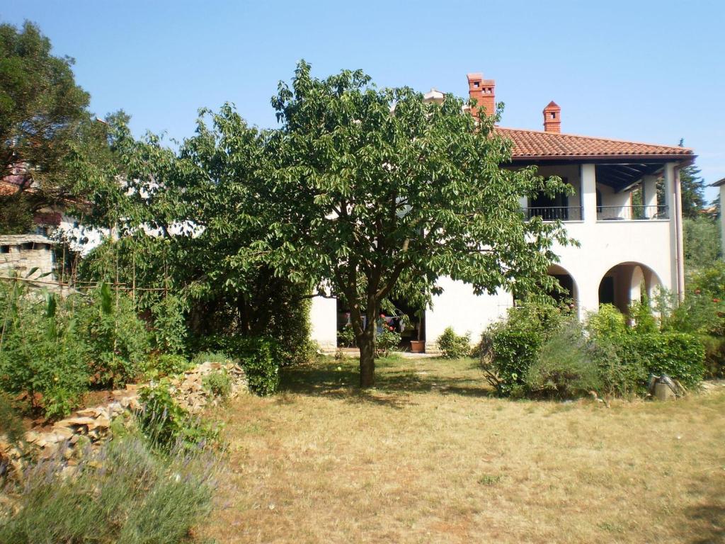 Zahrada ubytování Apartment Villa Gasparini