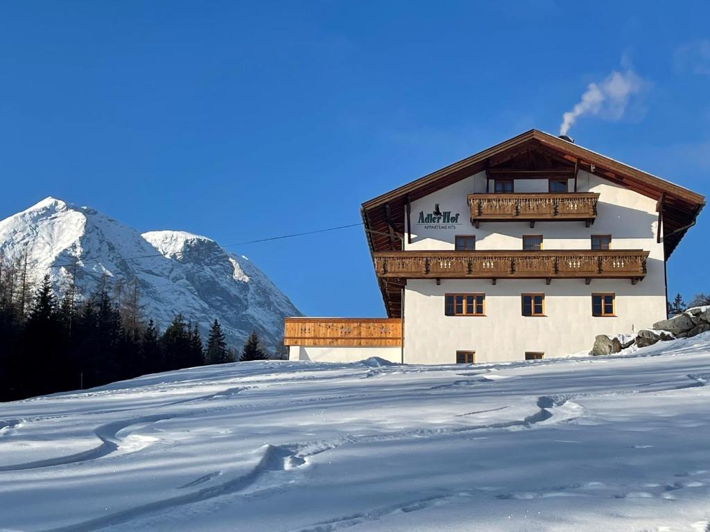 Příroda nedaleko apartmánu