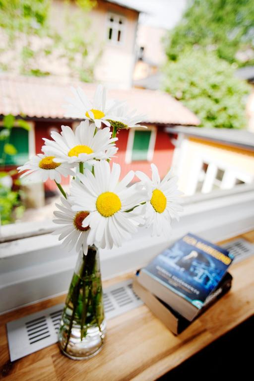 Zahrada ubytování STF Hotel Zinkensdamm