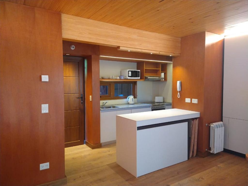 cocina con encimera blanca en una habitación en EDIFICIO VIVERo 3, en San Martín de los Andes