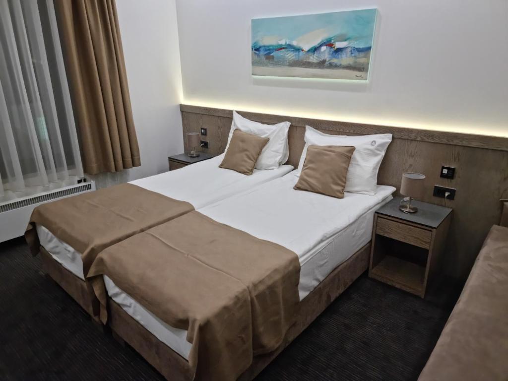 Standardna soba Zlatibor centar 205 - Resim 1