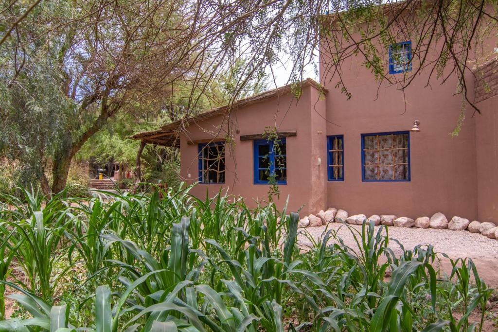Zahrada ubytování Ckoi Atacama Lodge