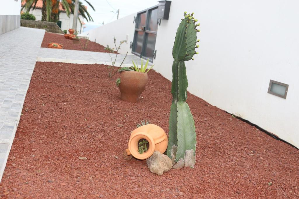 Fotografie z fotogalerie ubytování CASA DO ADRO -GRANEL v destinaci Nordeste