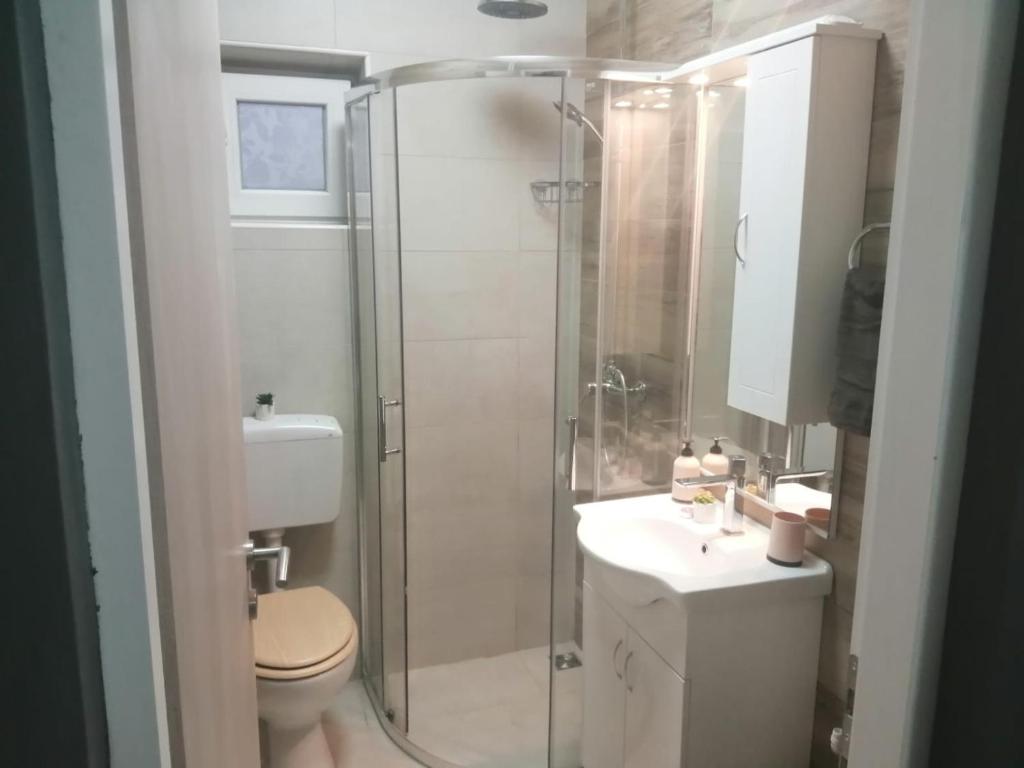 Koupelna v ubytování Apartman Goldy