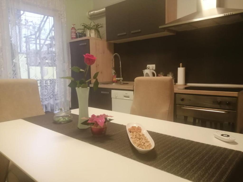 Kuchyň nebo kuchyňský kout v ubytování Apartman Goldy