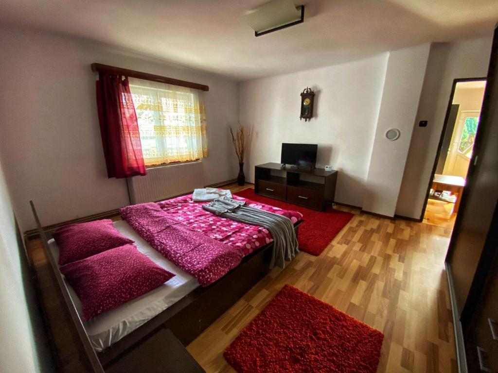 a bedroom with a large bed and a television at Casa Maria in Bran