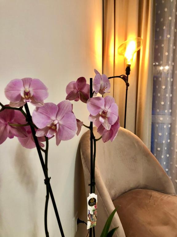 Old Town Romantic Apartment. Breslau-Wroclaw. - 8