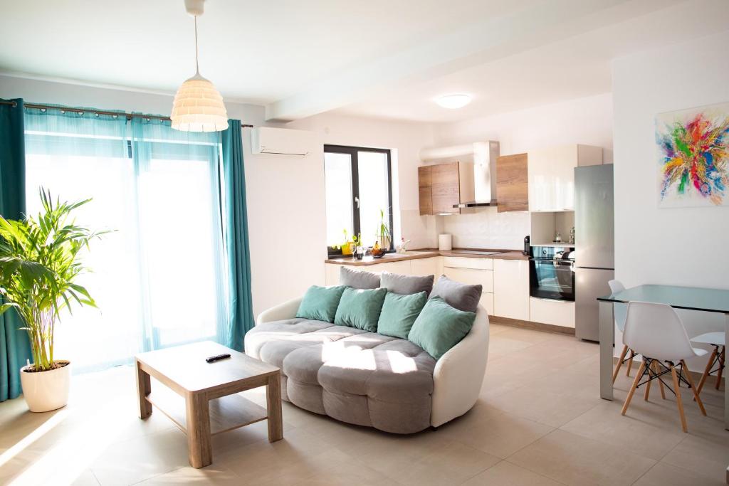 BIO Residence Apartments Timisoara في Uisenteş: غرفة معيشة مع أريكة ومطبخ