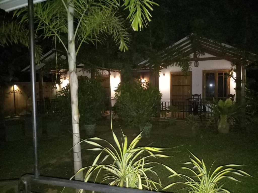 Zahrada ubytování Max Safari Villa