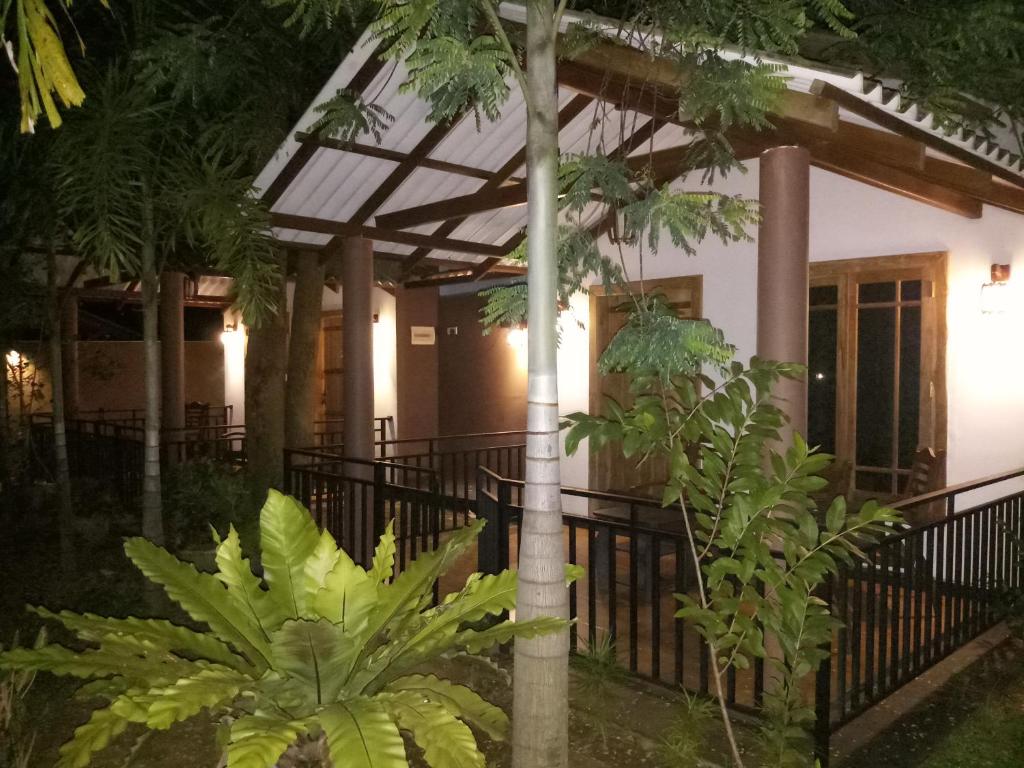 Zahrada ubytování Max Safari Villa