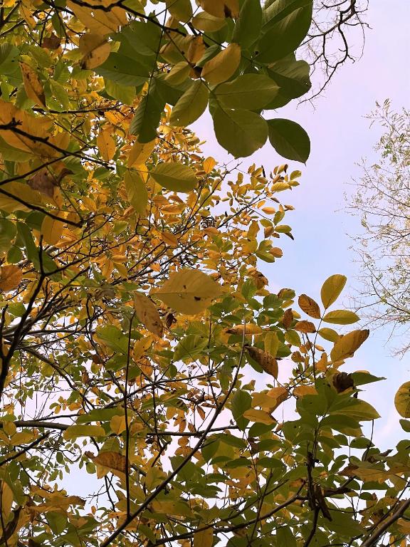 Hotel La Torretta - Resim 36