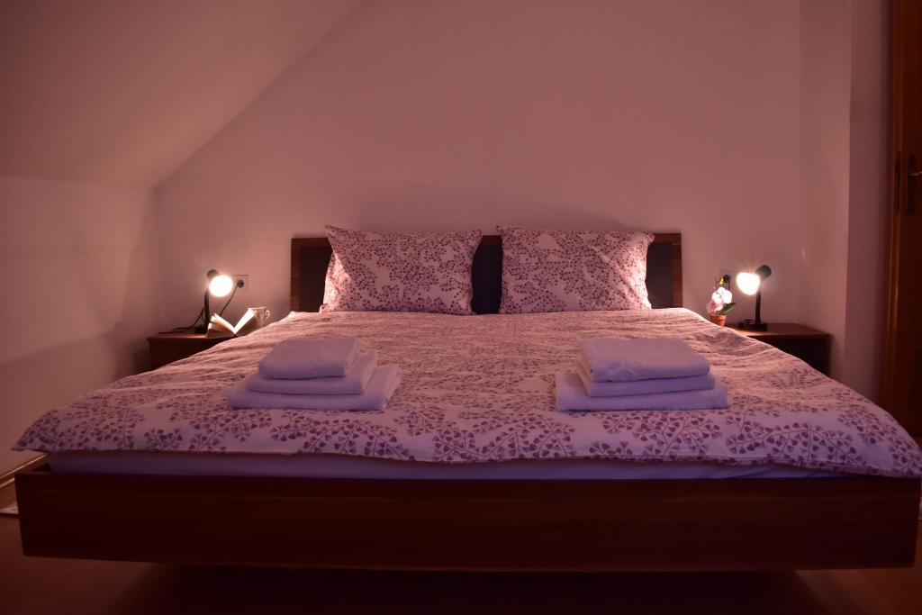 Postel nebo postele na pokoji v ubytování Apartman Skender 3* Ravna Gora