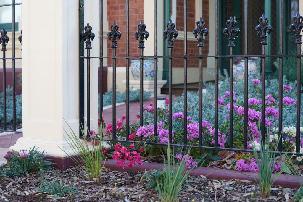 Zahrada ubytování Allora House Kalgoorlie