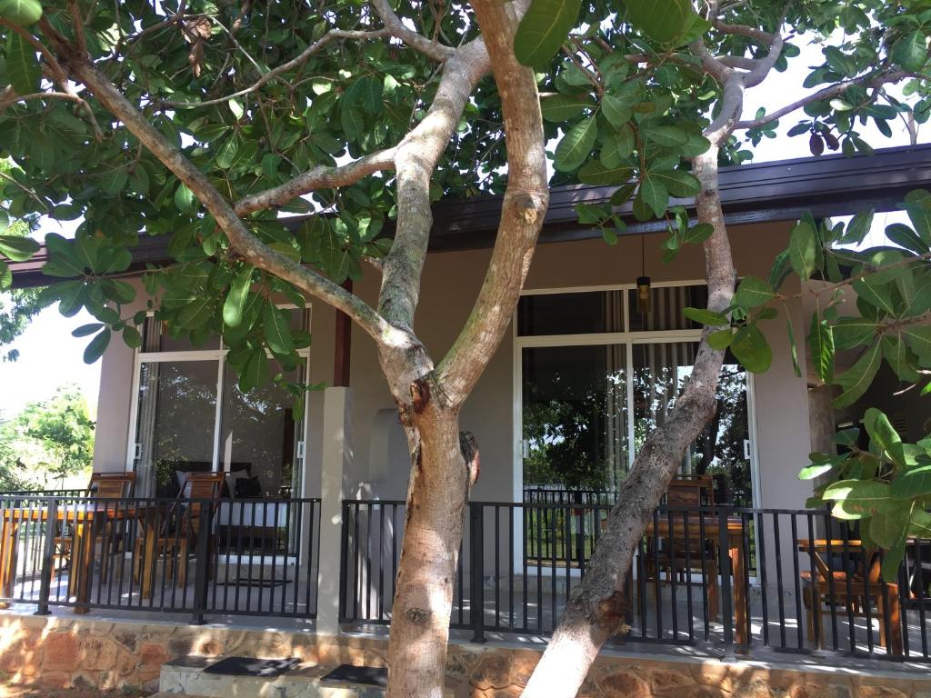 Saffron Lake Yala - 7