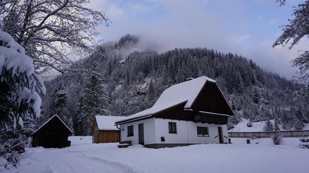 een huis bedekt met sneeuw voor een berg bij Haus Cilli in Donnersbachwald