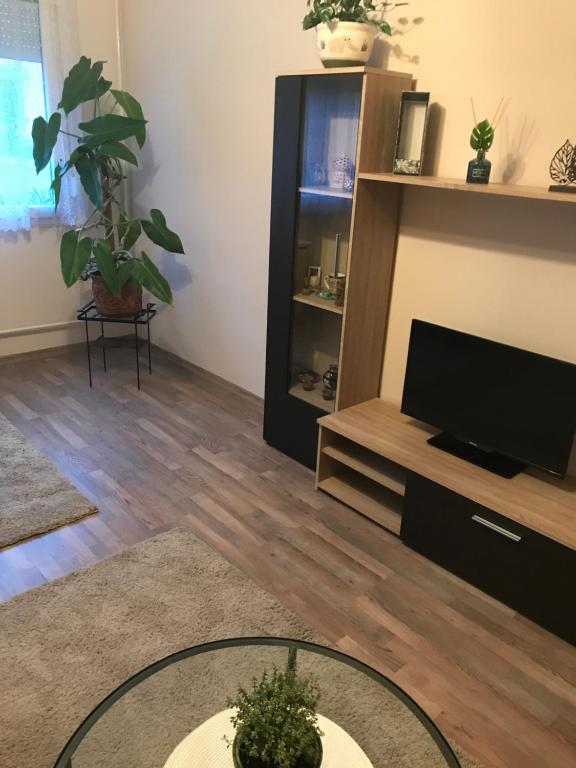 een woonkamer met een tv en een tafel bij Menta apartman in Szolnok