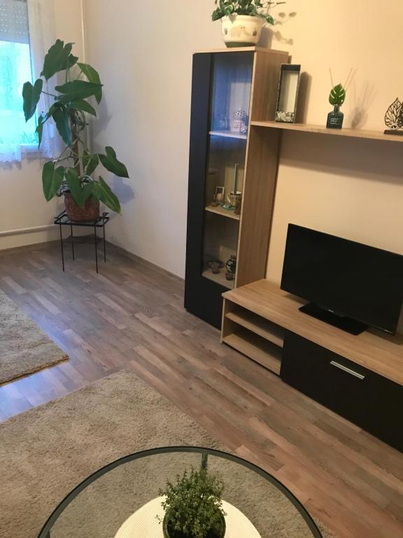 Televízia a/alebo spoločenská miestnosť v ubytovaní Menta apartman