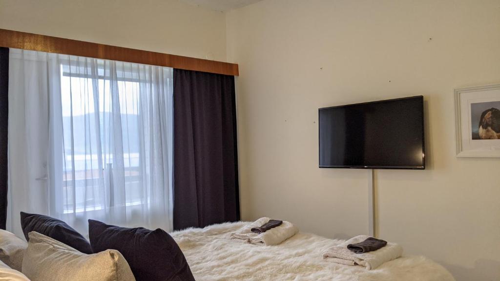 Televisyen dan/atau pusat hiburan di Flateyri guesthouse