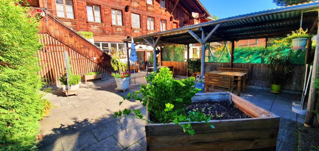Zahrada ubytování Haus Bergmann