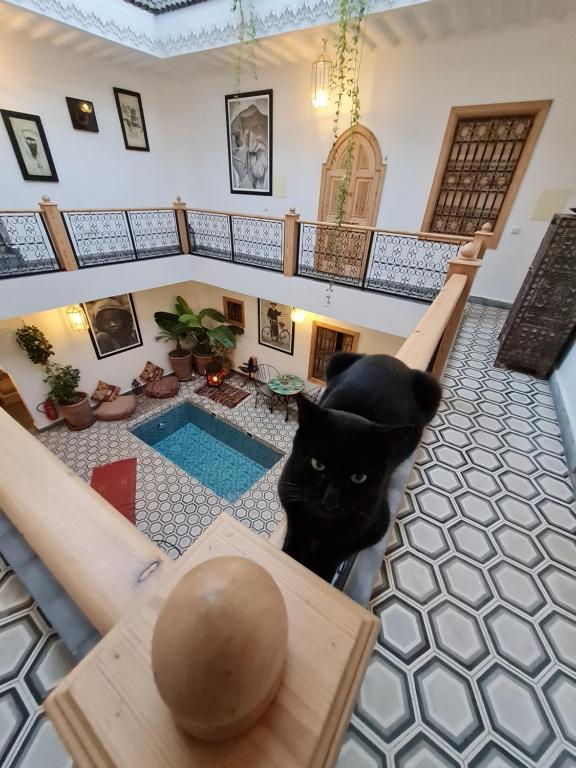 Gallery image of Riad Le Petit Joyau in Marrakech