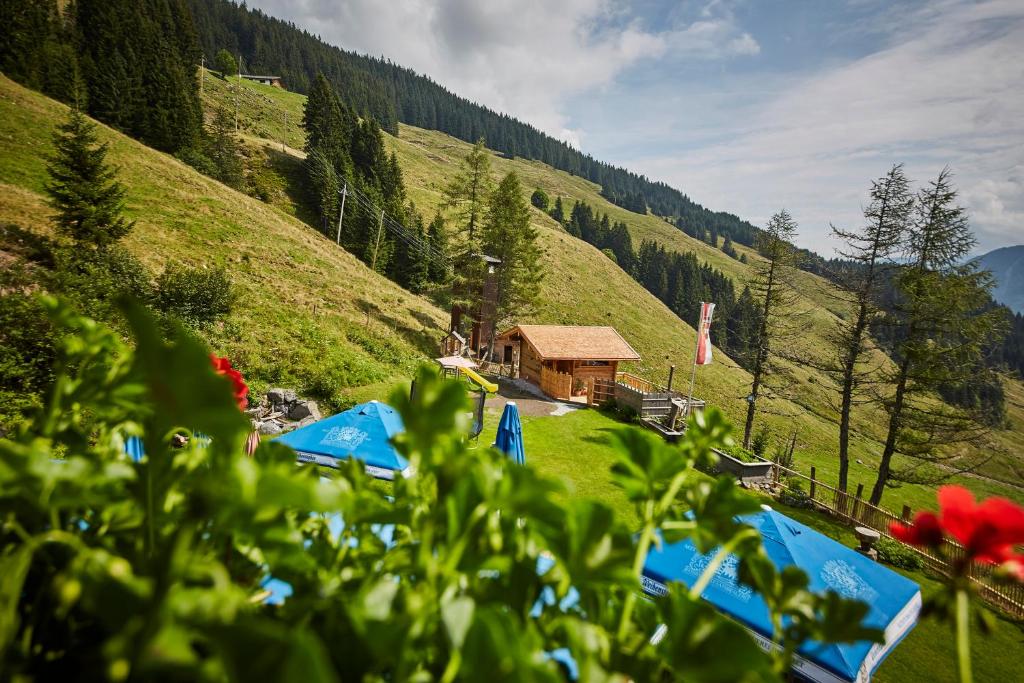 Příroda nedaleko bed and breakfast
